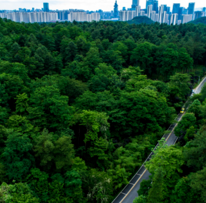 贵阳森林公园景区