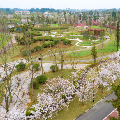 眉山樱花博览园