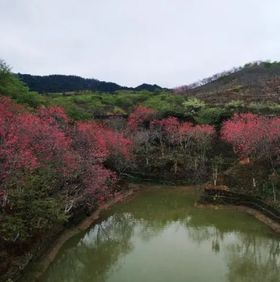 新丰桃花峪