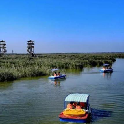 曹妃甸湿地