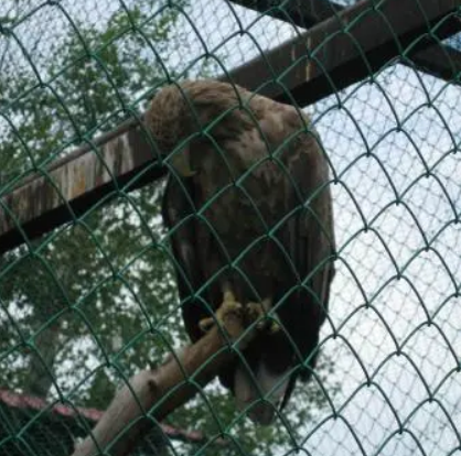 Chelyabinsk Zoo