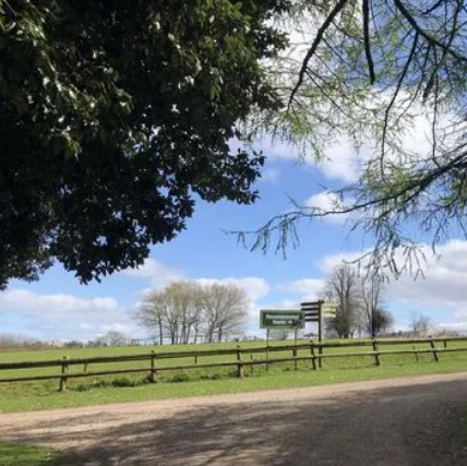 Fota Wildlife Park