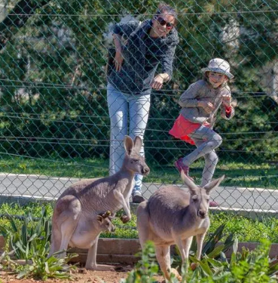 Pafos Zoo