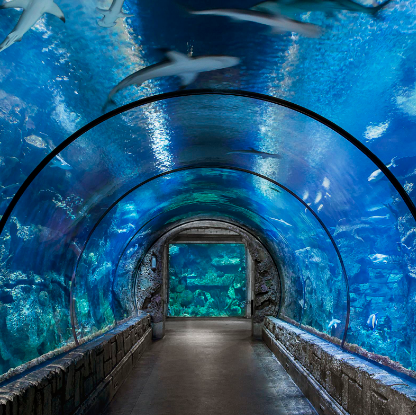 达拉斯水族馆