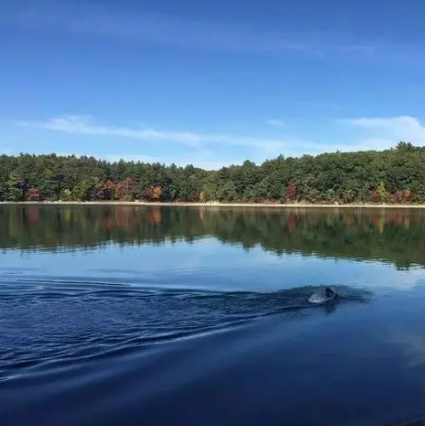 瓦尔登湖