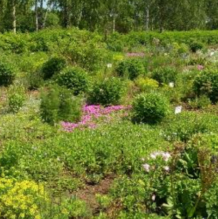 Ufa Botanical Garden