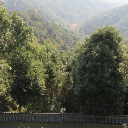 雨母山