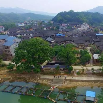 龙妙村龙妙屯