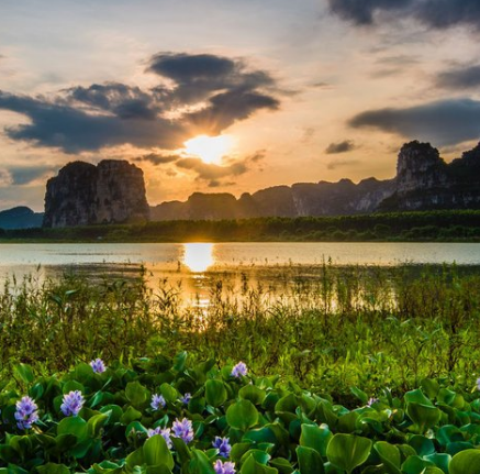 毛塘湿地公园