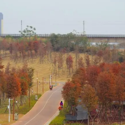 灵龟山滨江公园