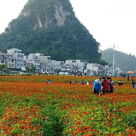 德保巴头多勾景区