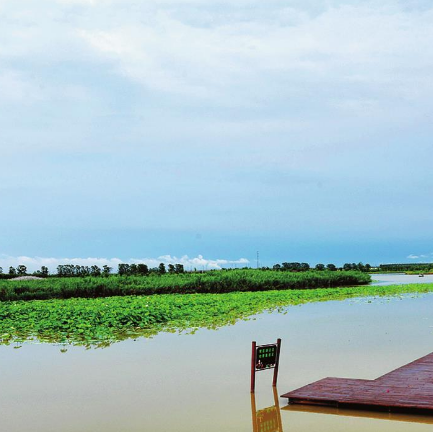 文水湾湿地公园