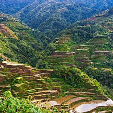 巴纳威高山梯田