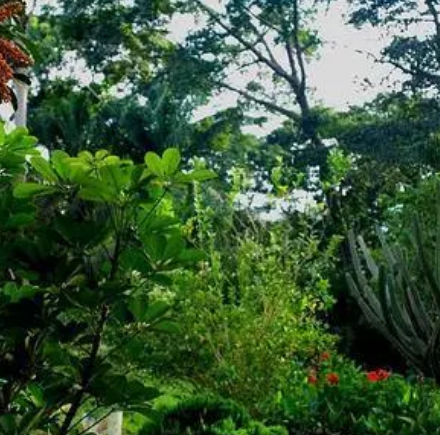 阿布里植物园