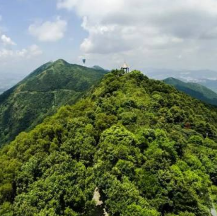 莲花山国家森林公园