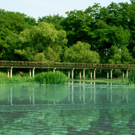 柳梅滩风景名胜区