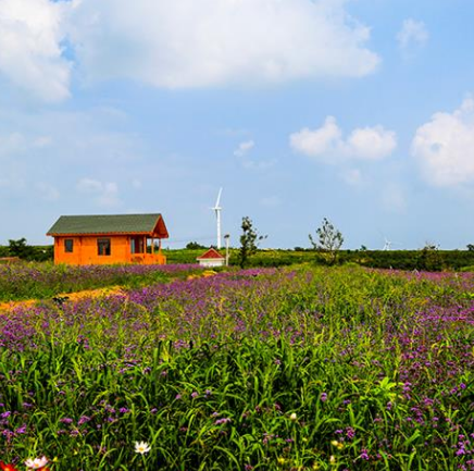 招远青龙湖香草园景区