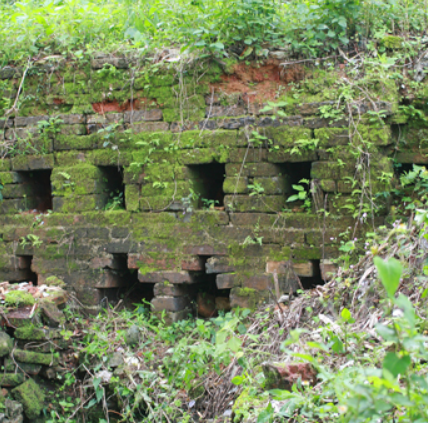 岭垌村