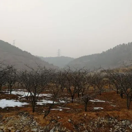 九龙山景区