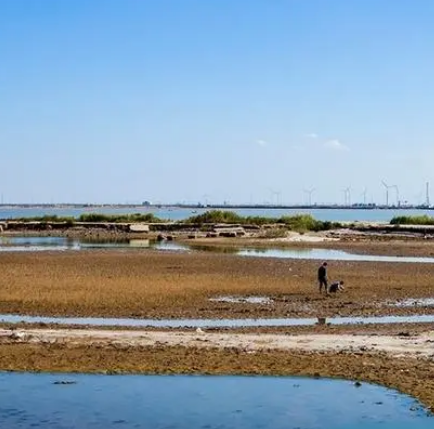 仙河镇滩涂