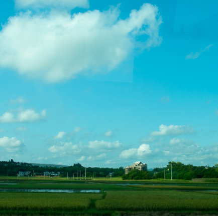 北仑河口景区