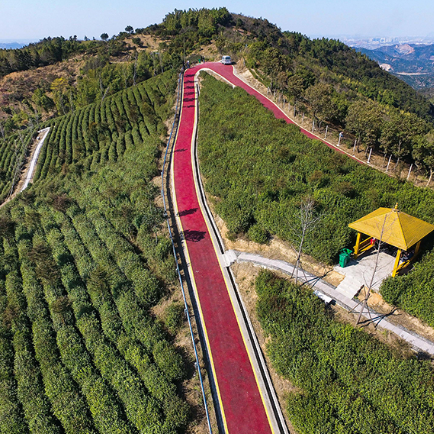 白土村茶园登山步道