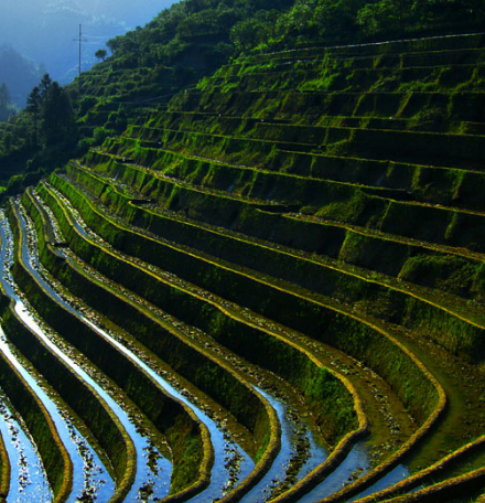 遂川县南风面