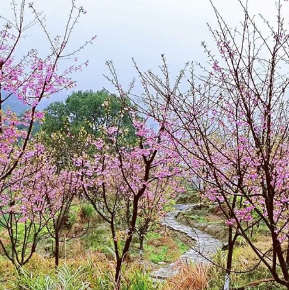 花海原居