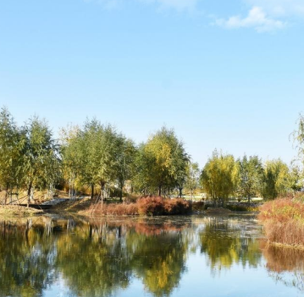 惠河湿地