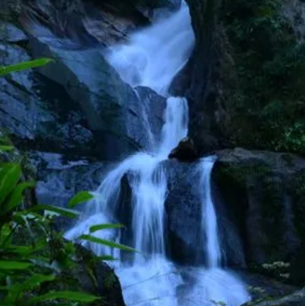 金竹飞瀑