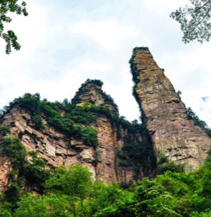 神鹰护鞭(金鞭溪)