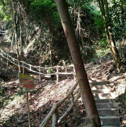 龙南市石斛谷风景区