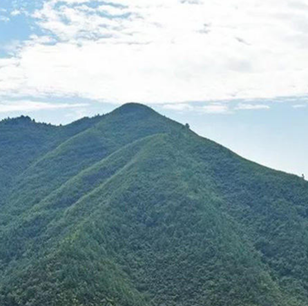 衡阳县金兰镇石荷岭