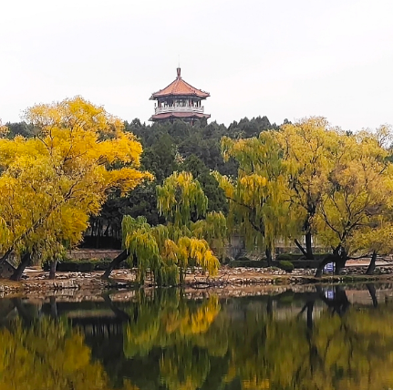 泰安虎山公园