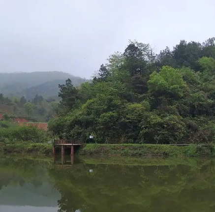 东婺山