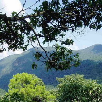 留山古火山国家级森林公园