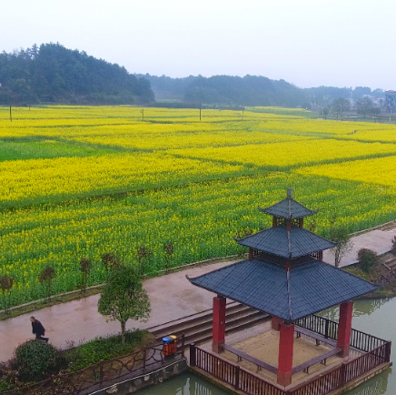 江背镇五福村