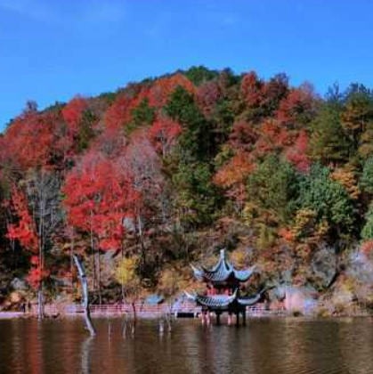 布山古郡