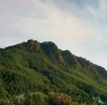 五指山景区