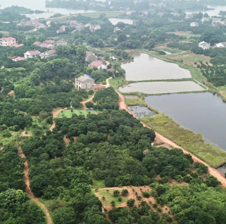 琼湖国家湿地公园