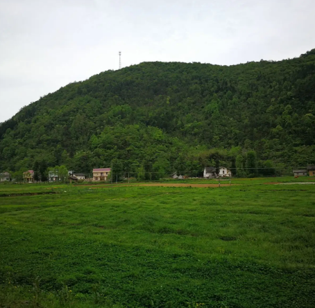 千龙岭