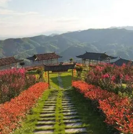 水源山花海