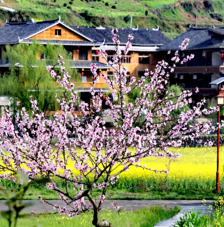 奉家古桃花源