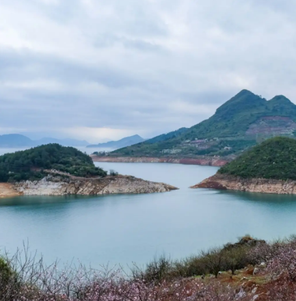 白廊乡桃花岛