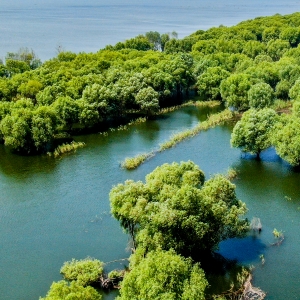 岳阳洞庭湖旅游度假区