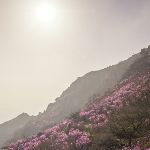 大黑山景区