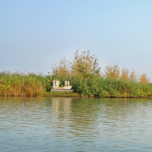 洪泽湖湿地公园