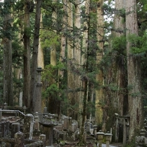 高野山