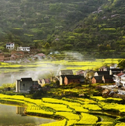 沼山乡村公园