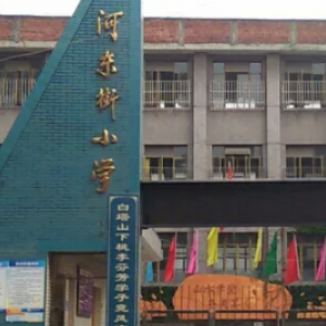 辛冲街河东小学